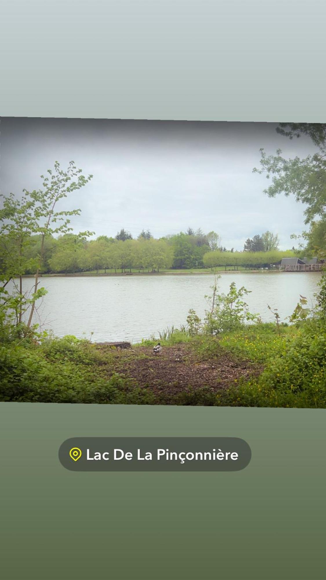 Quiniere - Entre Lac Et Foret - Hebergement Independant Avec Espace Kitchenette Blois Zewnętrze zdjęcie